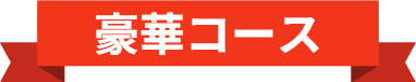 豪華コース