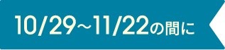 10/29~11/22の間に