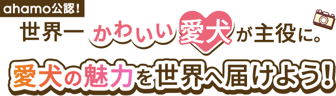 ahamo公認！世界一かわいい愛犬が主役に。 愛犬の魅力を世界へ届けよう！