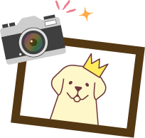 愛犬の写真を投稿