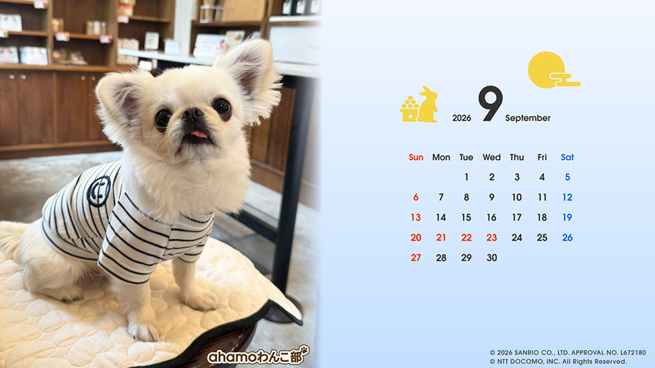 2026年9月シンプル
