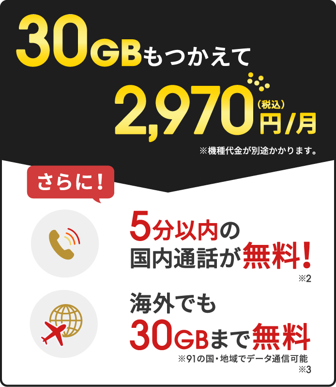 30GBもつかえて2,970円/月（税込）※機種代金が別途かかります。さらに！5分以内の国内通話が無料！※2 海外でも30GBまで無料※91の国・地域でデータ通信可能※3