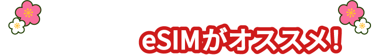 年末年始はeSIMがオススメ！