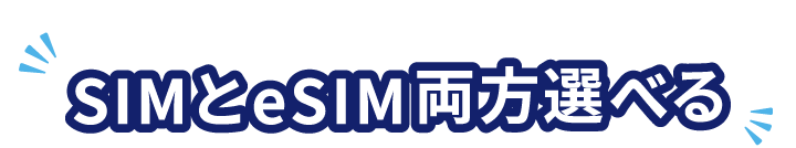ahamoはSIMとeSIM両方選べる
