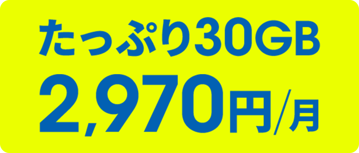 たっぷり30GB 月額2,970円