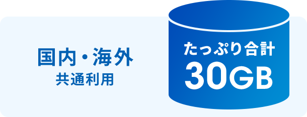 国内・海外共通利用 たっぷり合計30GB