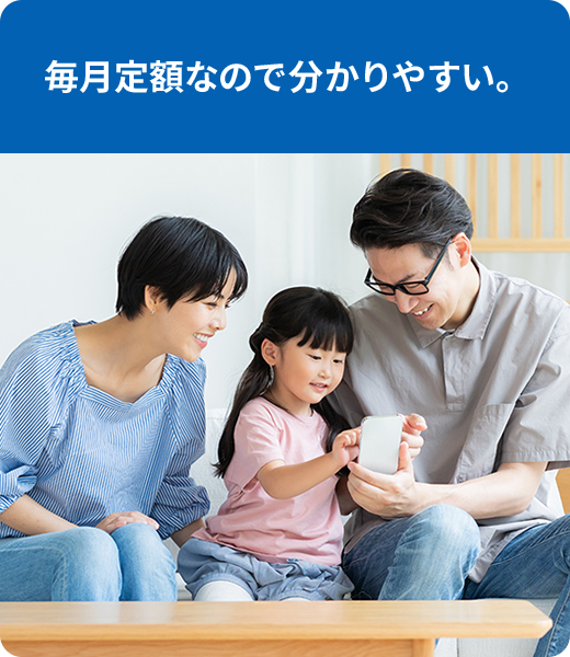 毎月定額なので分かりやすい。