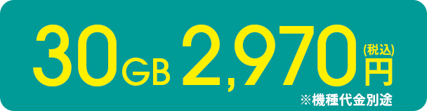 30GB 2,970円(税込)※機種代金別途