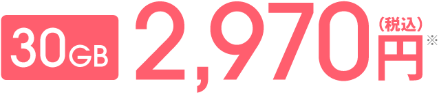 30GB2,970円(税込)
