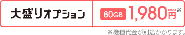 大盛りオプション80GB1,980円(税込)