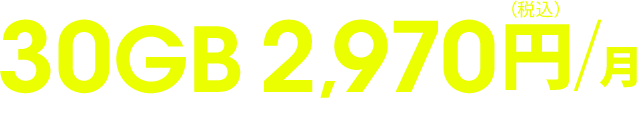 30GB 2,970円（税込）/月 ※機種代金別途