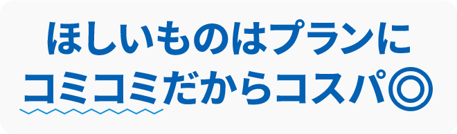 ほしいものはプランにコミコミだからコスパ◎