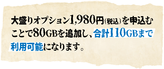 大盛りオプション1,980円（税込）を申込むことで80GBを追加し、合計110GBまで利用可能になります。
