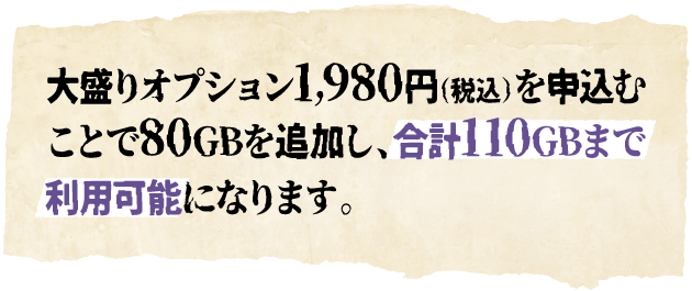 大盛りオプション1,980円（税込）を申込むことで80GBを追加し、合計110GBまで利用可能になります。