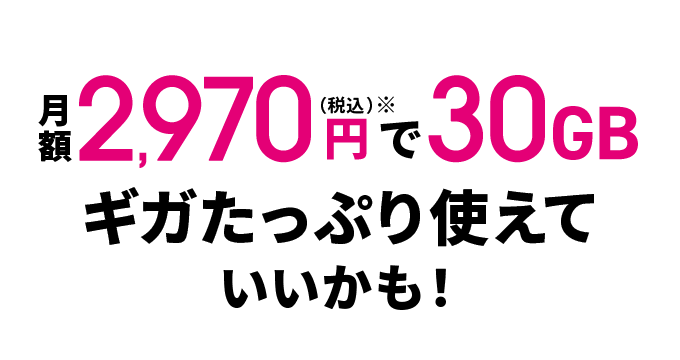 月額2,970円（税込）※で30GBギガたっぷり使えていいかも！