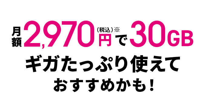 月額2,970円（税込）※で30GBギガたっぷり使えておすすめかも！