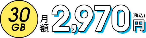 30GB 月額2,970円(税込)