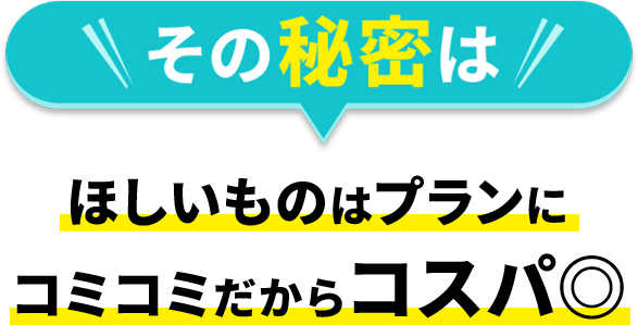 その秘密は ほしいものはプランにコミコミだからコスパ◎