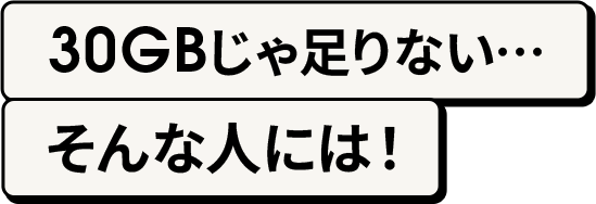 30GBじゃ足りない…そんな人には！