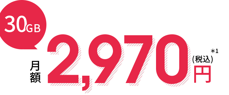 30GB 月額2,970円(税込)＊1