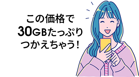 この価格で30GBたっぷりつかえちゃう！