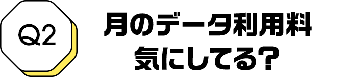 Q2 月のデータ利用料気にしてる？