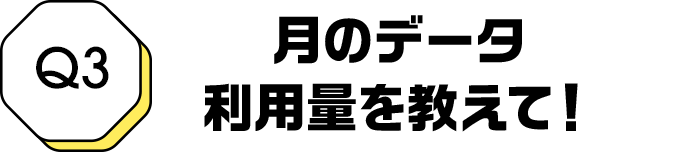 Q3 月のデータ利用量を教えて！