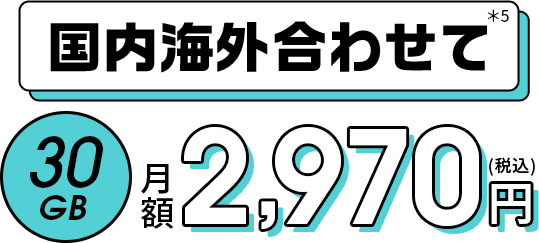 国内海外合わせて＊5 30GB 月額2,970円(税込)