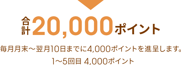 合計20,000ポイント 毎月月末〜翌月10日までに4,000ポイントを進呈します。1〜5回目 4,000ポイント