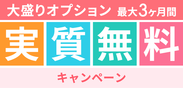 大盛りオプション最大3ヶ月間実質無料キャンペーン