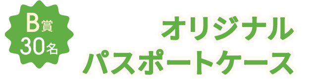 B賞30名 オリジナルパスポートケース
